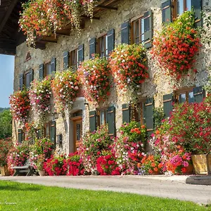 https://bachtelhuber-hof.com-bavaria.com